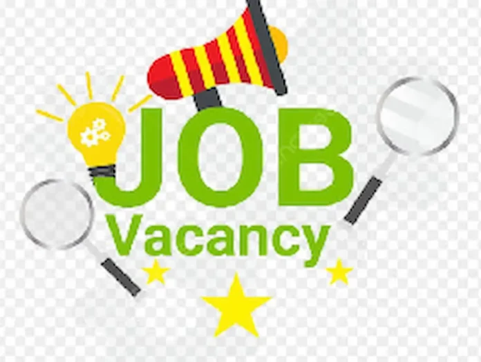 Government Job Recruitment