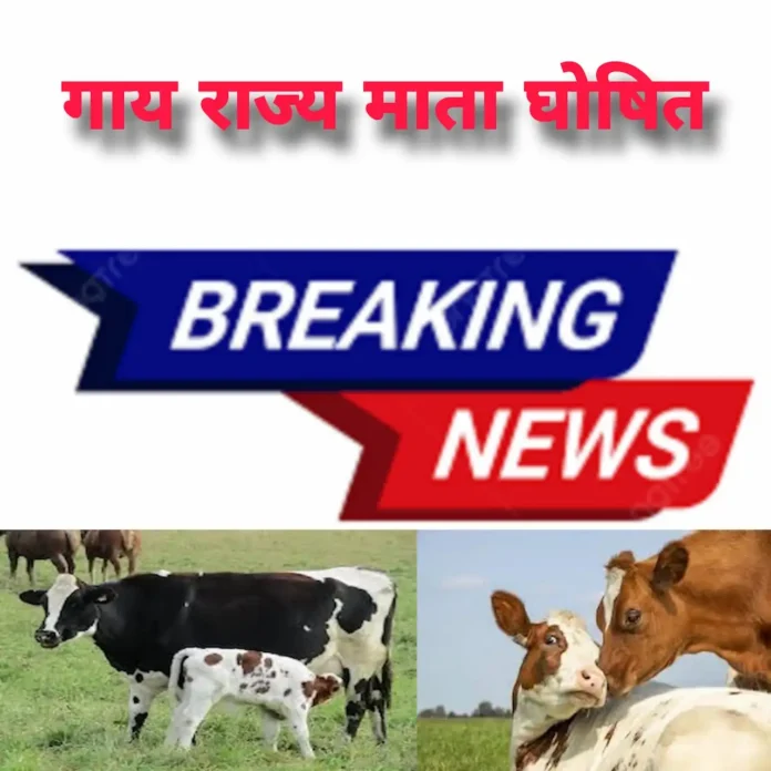 Cow declared as mother of the state