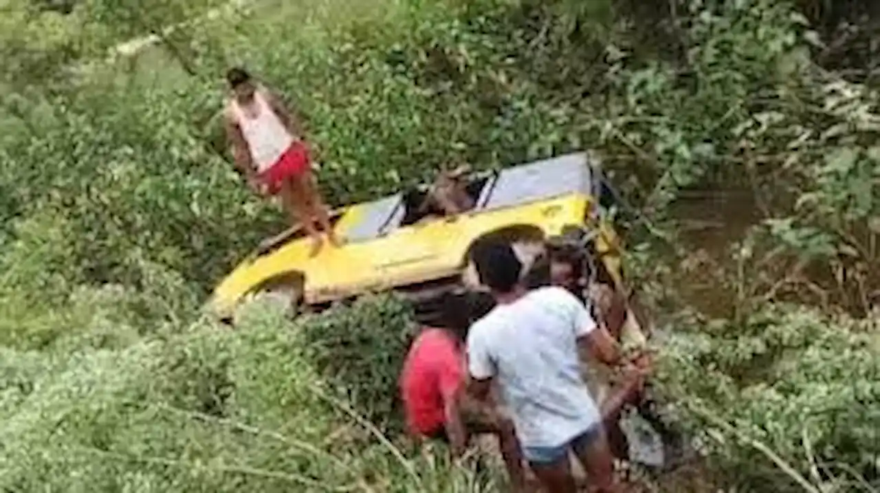 School van falls into river 