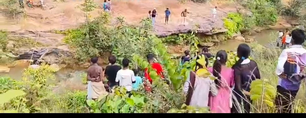 KORBA Elephant fell into drain
