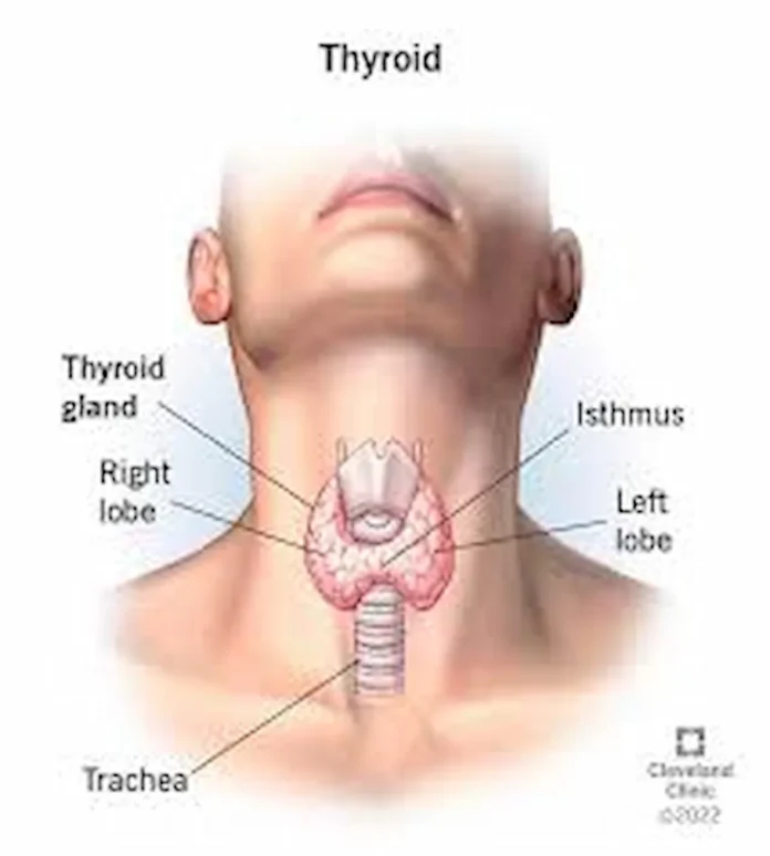 home remedy for thyroid 
