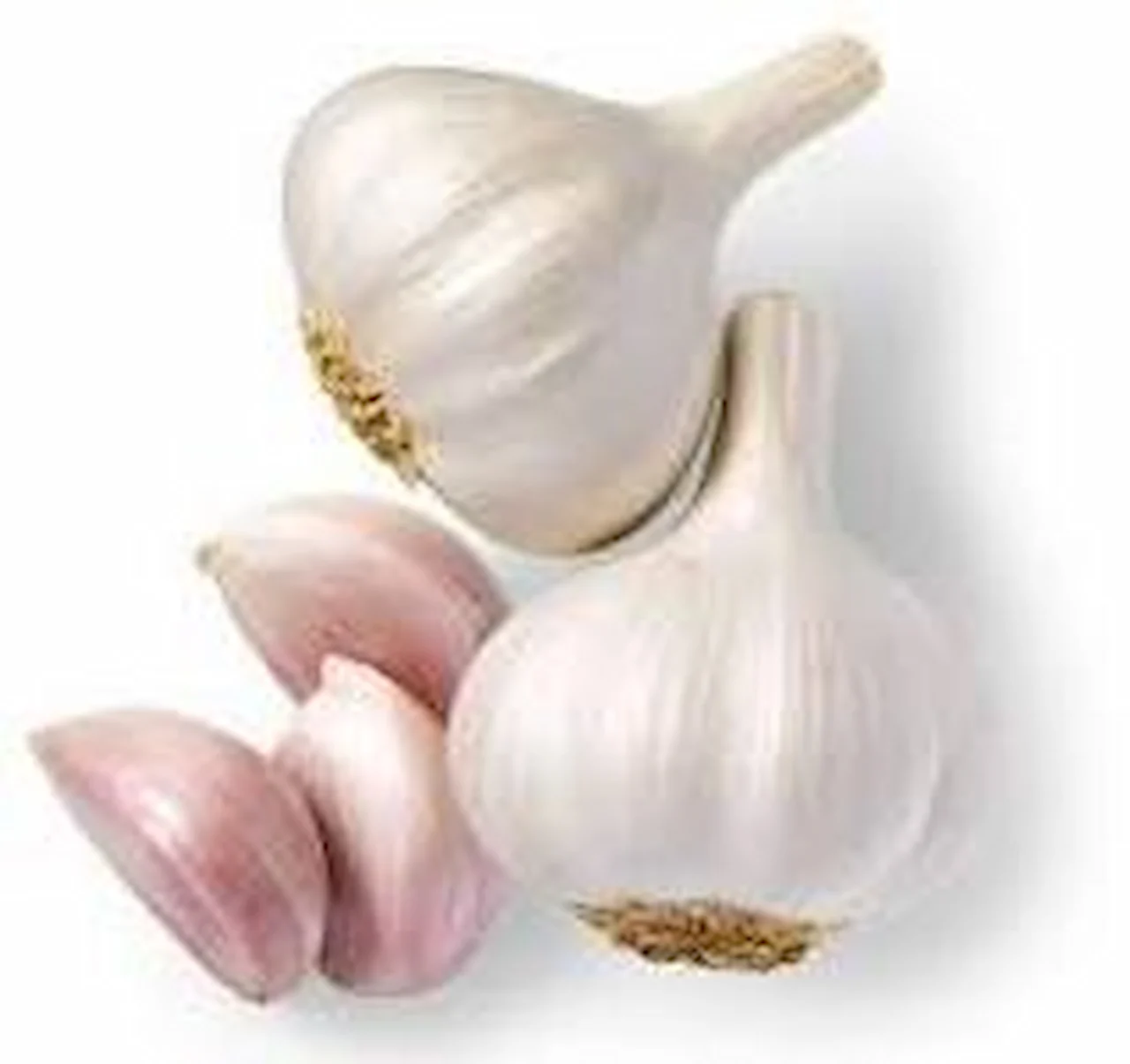 Medicinal properties of raw garlic
