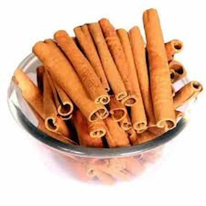 Medicinal properties of cinnamon 