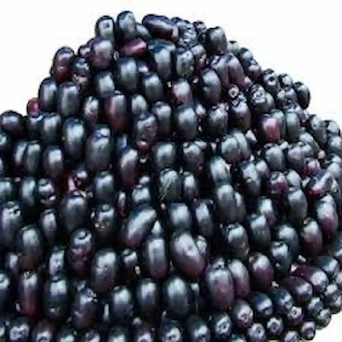 Benefits and disadvantages of eating berries 