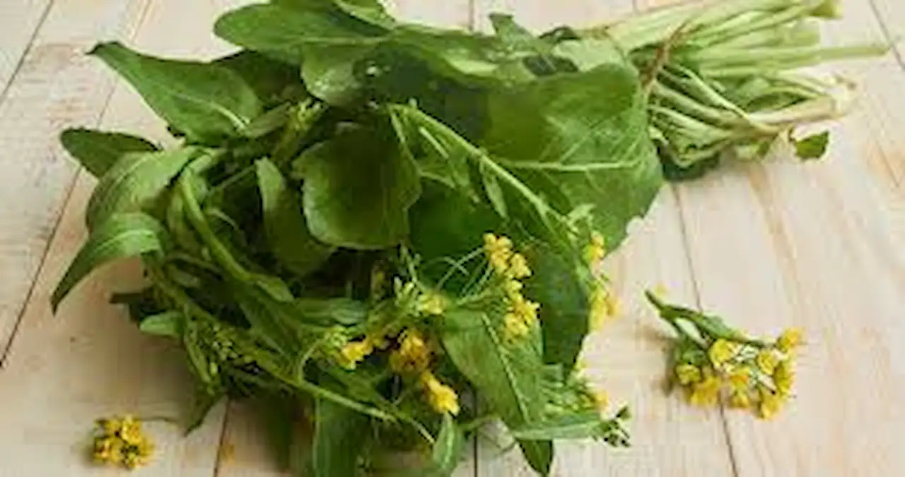 Benefits and Side Effects of Mustard Vegetable