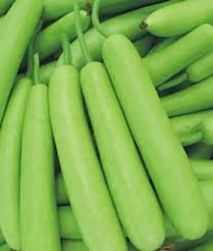 Benefits and side effects of bottle gourd