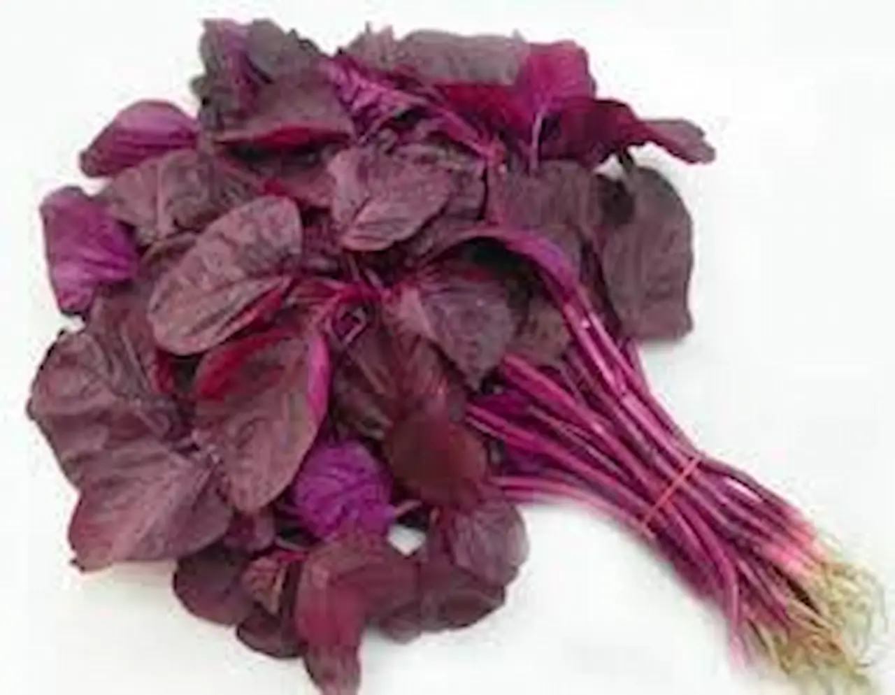 Lal Bhaaji has anti-cancer properties 