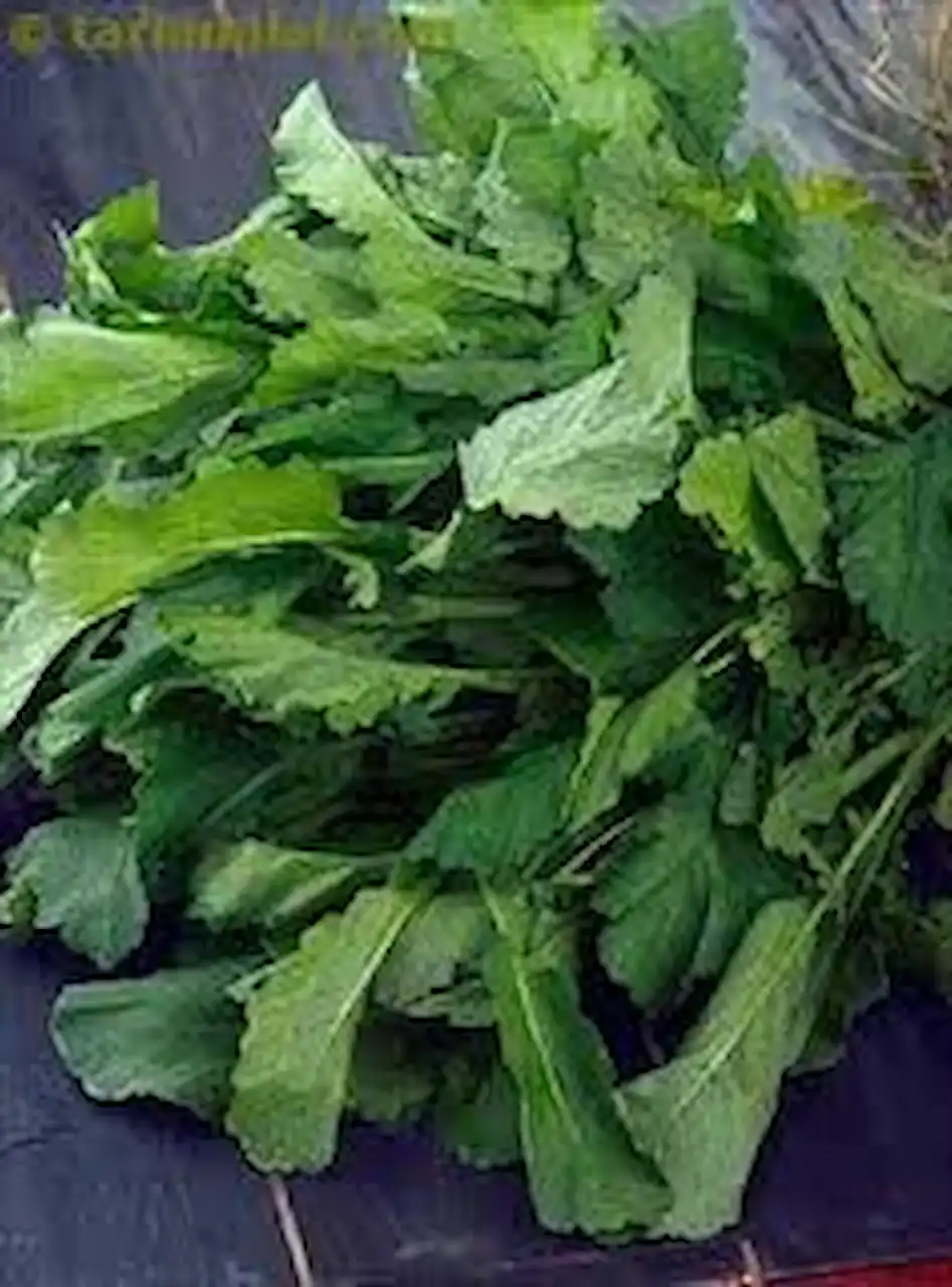 Benefits and Side Effects of Mustard Vegetable