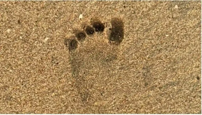 संथारा
