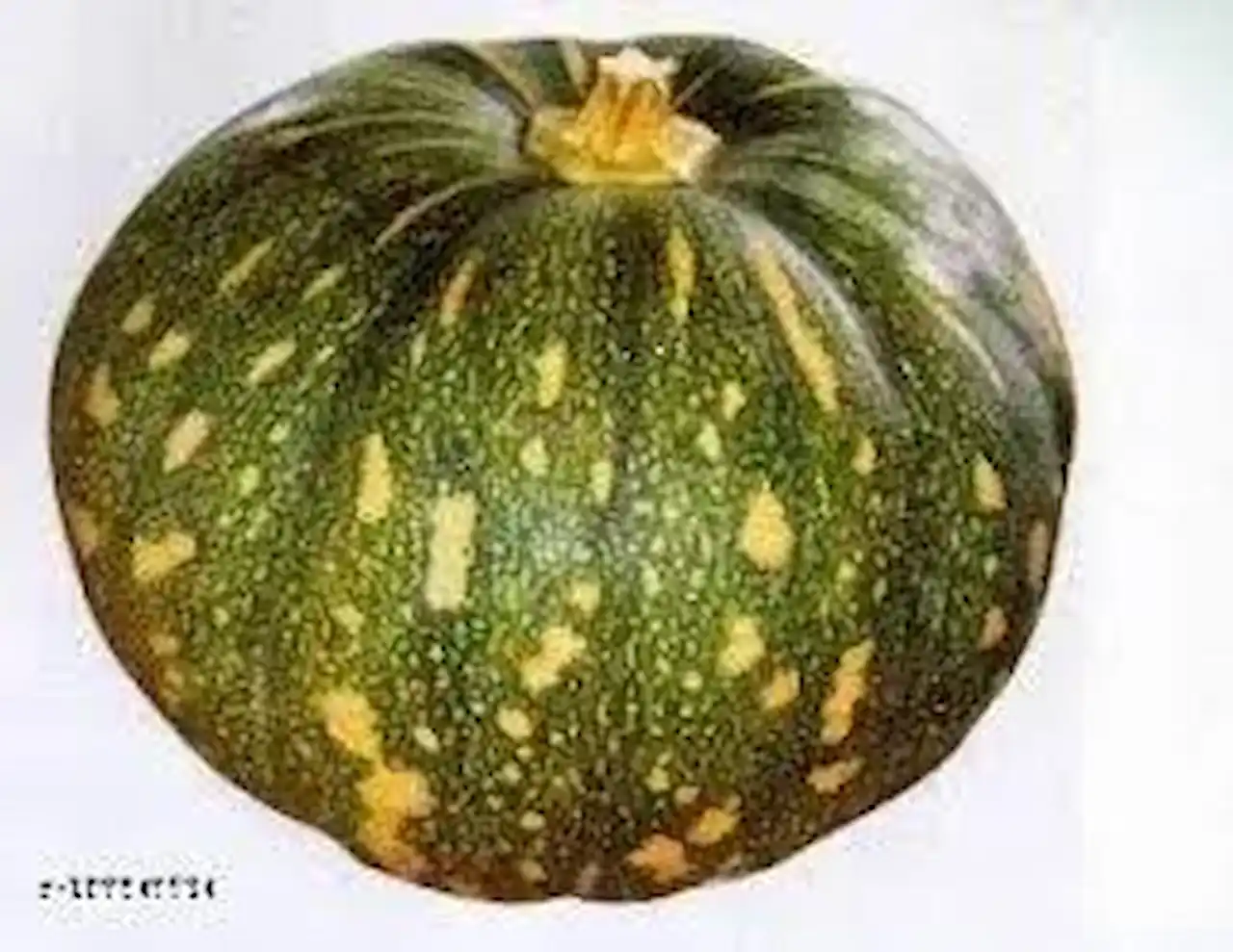 The benefits and harms of pumpkin