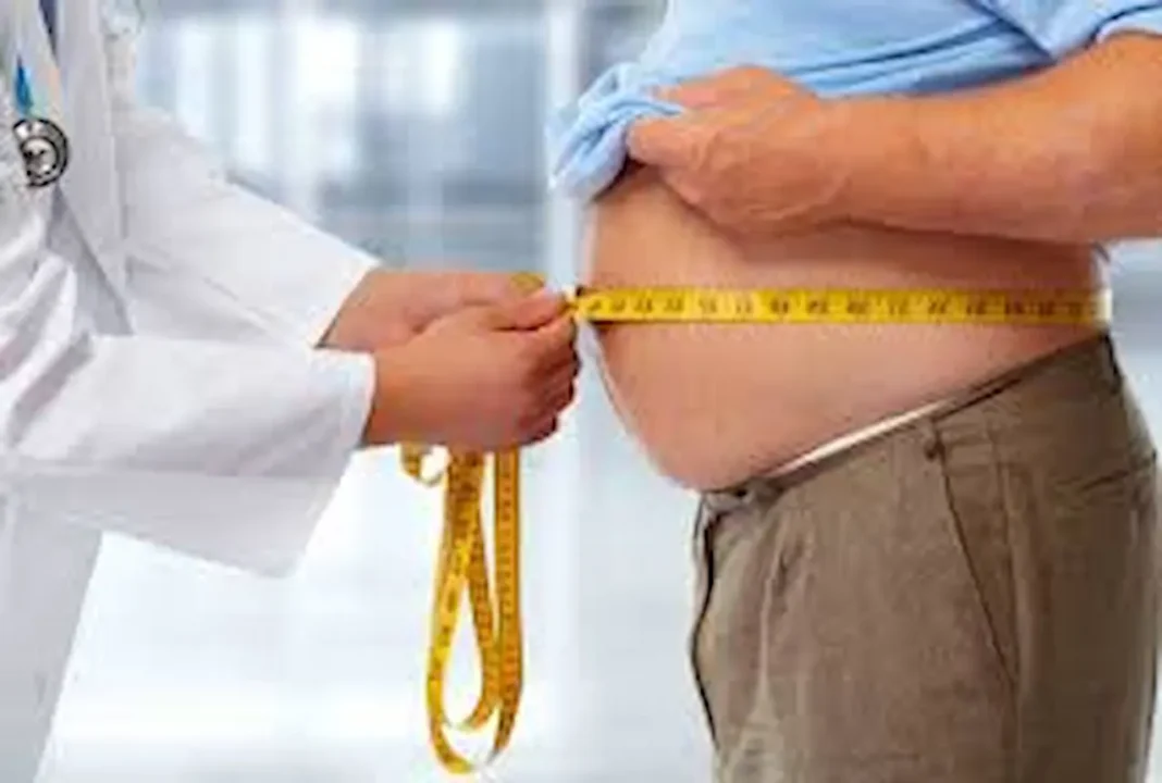 Homemade recipe to reduce obesity 
