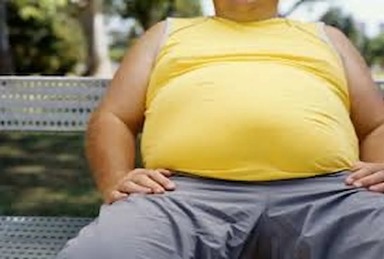 Homemade recipe to reduce obesity