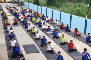 BALCO celebrated Yoga Day