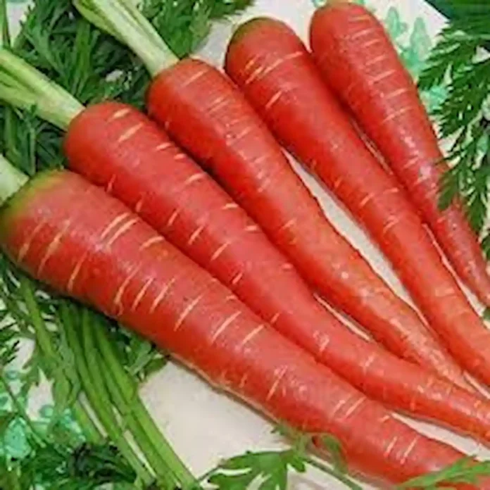 the benefits and harms of carrots
