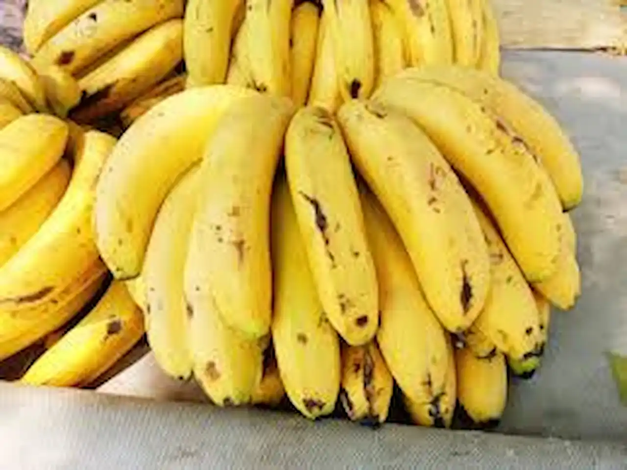 Home remedies to remove physical weakness