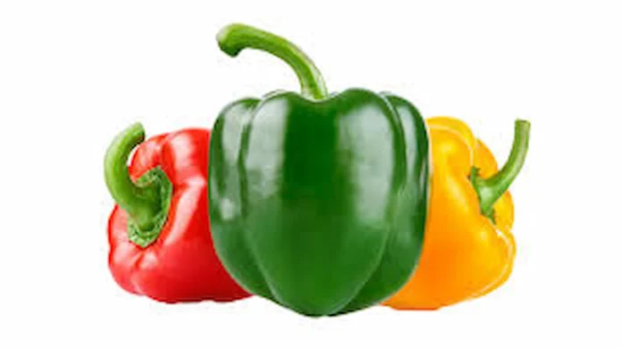 The benefits and harms of bell pepper 