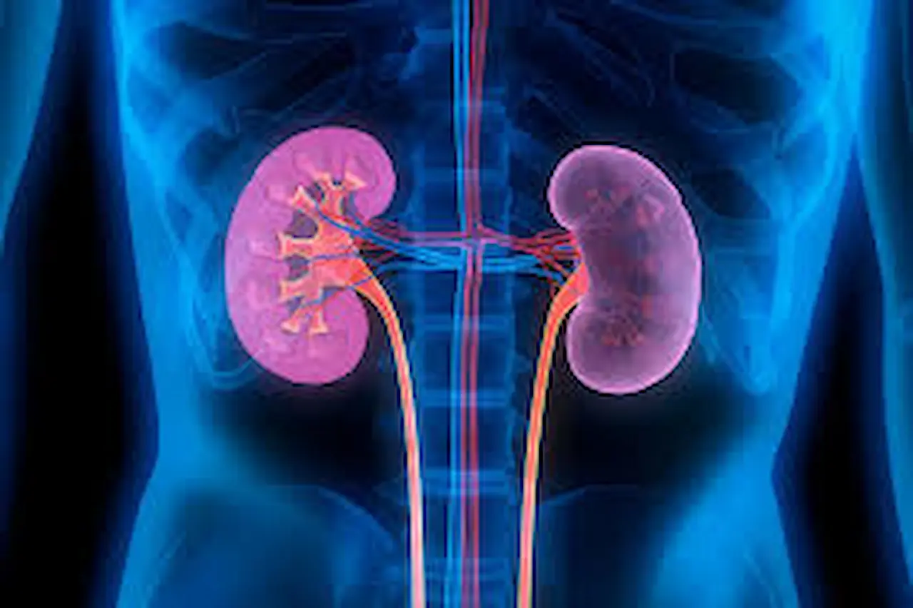 Home remedies for kidney disease