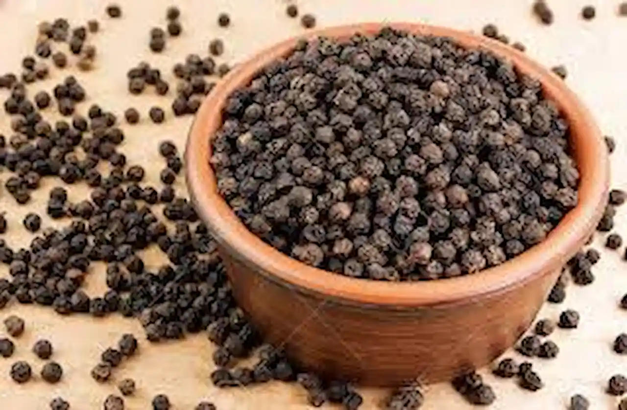 Medicinal properties of black pepper