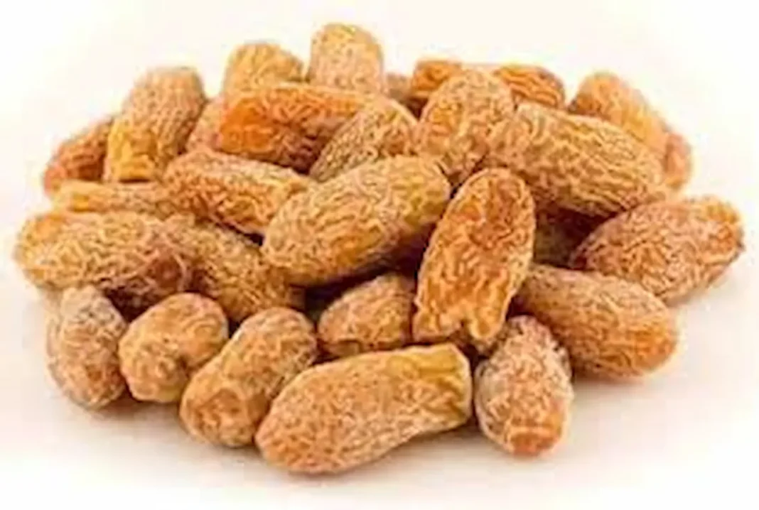 Medicinal properties of dates 