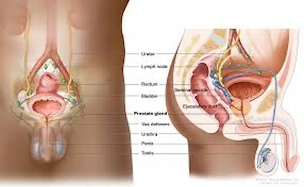 home treatment for prostate