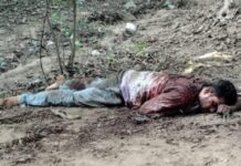 KORBA : युवक की धारदार हथियार से हत्या, झाड़ी मे मिली लाश, पुलिस कर रही हैं जाँच