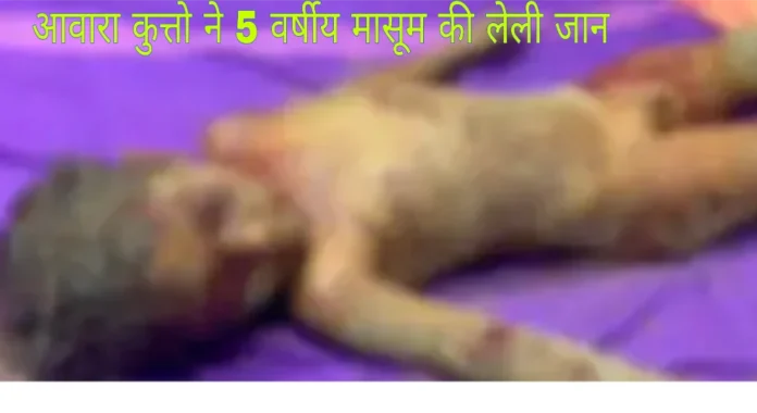 Korba Breaking News 